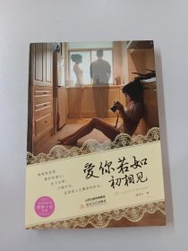 当代新都市爱情小说典藏本：爱你若如初相见