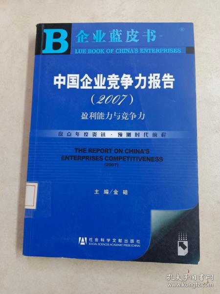 中国企业竞争力报告（2007）：盈利能力与竞争力