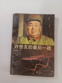 许世友的最后一战