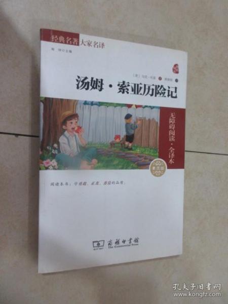 经典名著 大家名译：汤姆·索亚历险记（无障碍阅读 全译本 素质版）