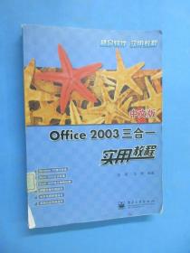 中文版Office 2003三合一实用教程