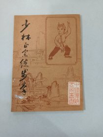 少林正宗练步拳