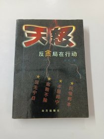 天怒：反贪局在行动