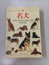 名犬：全世界300多种名犬的彩色图鉴