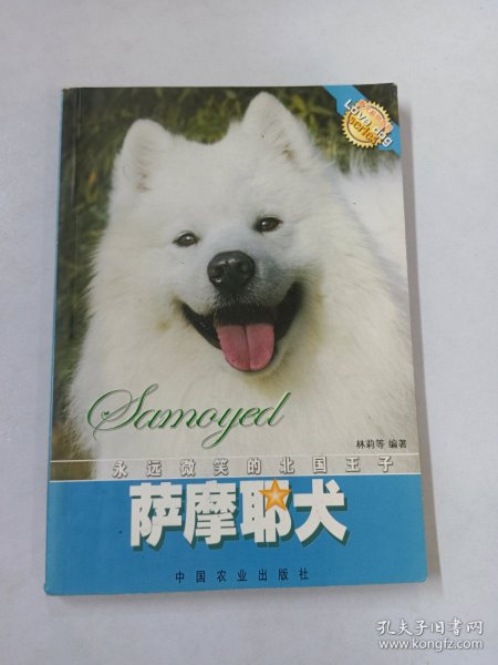 萨摩耶犬