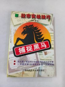 捕捉黑马:股市实战技巧