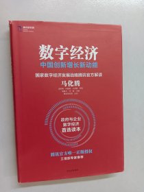 数字经济：中国创新增长新动能