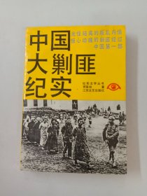 中国大剿匪纪实