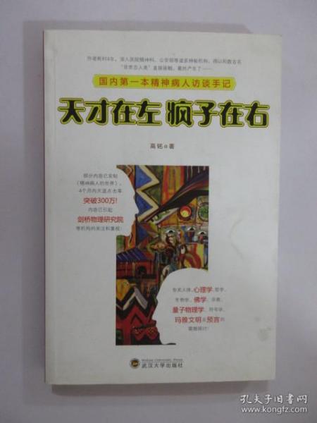 天才在左 疯子在右：国内第一本精神病人访谈手记