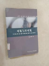 可见与不可见：90年代以来中国电视文化研究