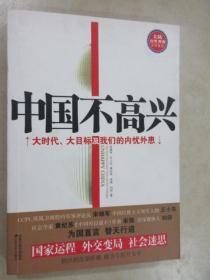 中国不高兴：大时代大目标及我们的内忧外患