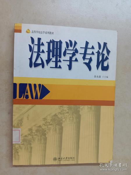 高等学校法学系列教材：法理学专论