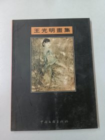 王光明画集