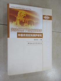 宪法规则下的权利博弈：中国农民权利保护研究