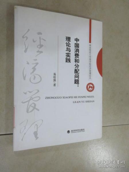 中国消费和分配问题:理论与实践