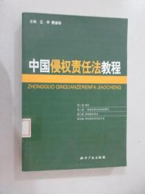 中国侵权责任法教程