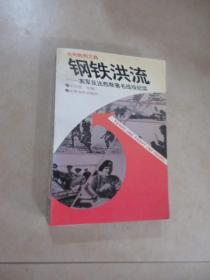 钢铁洪流：英军反法西斯著名战役纪实