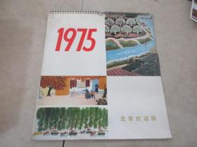 1975年    挂历