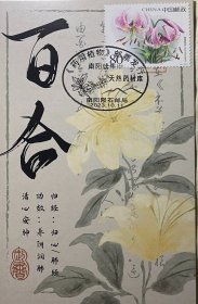 药用植物极限片，百合极限片，南阳伏牛山中药库邮戳明信片邮票