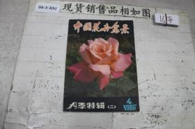 中国花卉盆景1986年第4期.月季特辑.