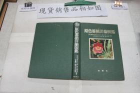 原色蔷薇洋兰图鉴