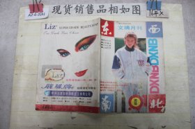 文摘月刊 东西南北