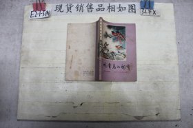 观赏鸟的饲养