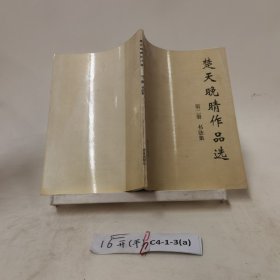 楚天晚晴作品选（第二册书法集）
