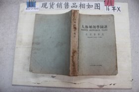 人体解剖学图谱武汉医学院