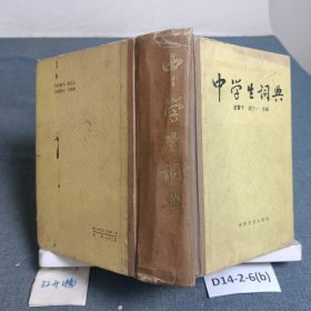 中學(xué)生詞典