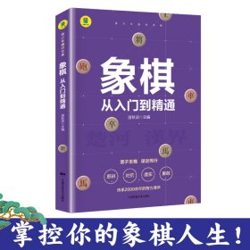 围棋：从入门到精通