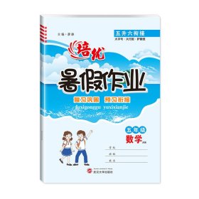 暑假作业五年级数学五升六暑假衔接数学人教版小学生升六年级专项训练练习题假期作业大通关专项训练题