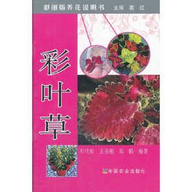 彩叶草/彩图版养花说明书