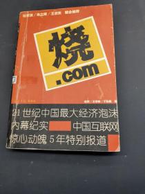 烧.com：21世纪中国最大经济泡沫内幕纪实