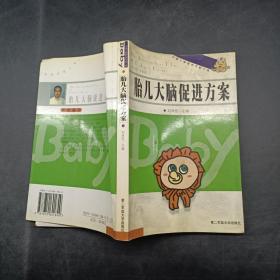胎兒大腦促進(jìn)方案
