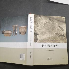 伊川考古报告