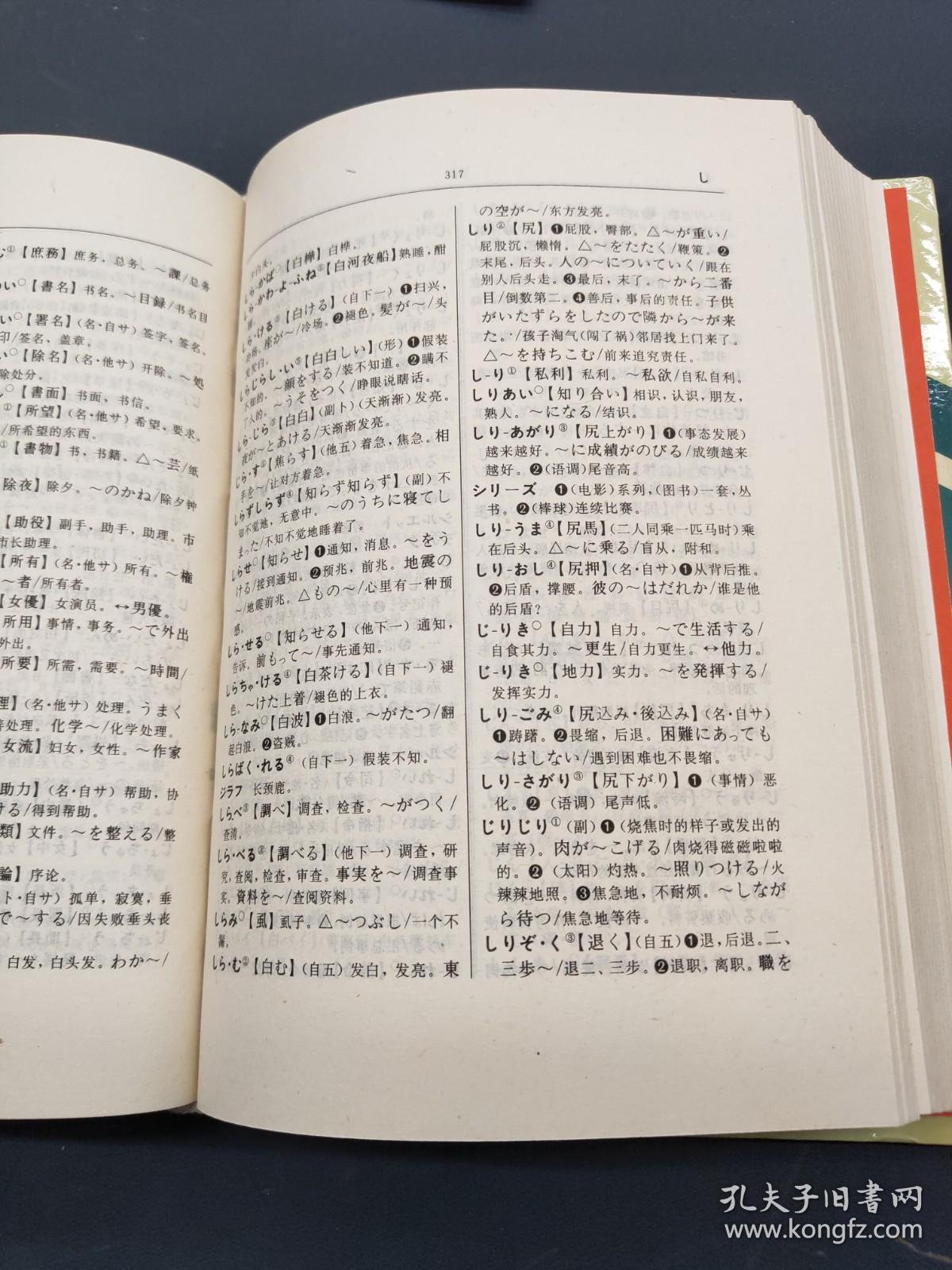 新日汉学生辞典