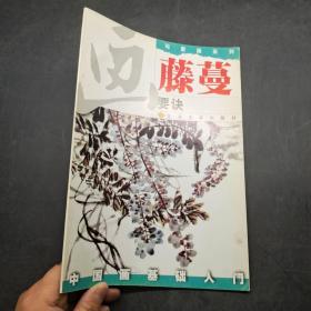 中国画基础入门藤蔓画要诀