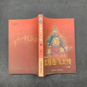 武穆岳飞大传（下集）