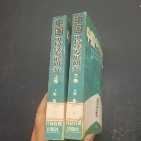 中国可持续发展研究（上，下全卷 两本合售）