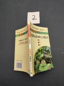 優(yōu)質(zhì)甜瓜畝創(chuàng)4000元關(guān)鍵技術(shù)