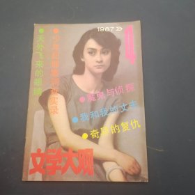 文学大观 1987年第4期