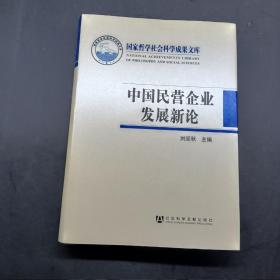 中国民营企业发展新论