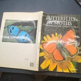 BUTTERFLIES MOTHS