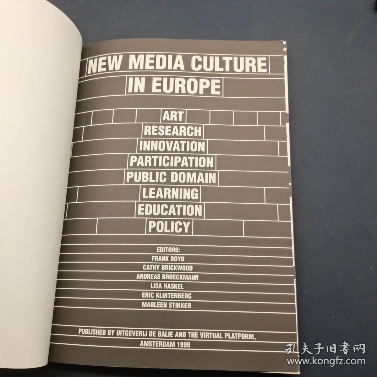 NEW MEDIA CULTURE IN EUROPE