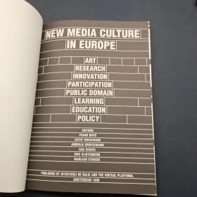 NEW MEDIA CULTURE IN EUROPE
