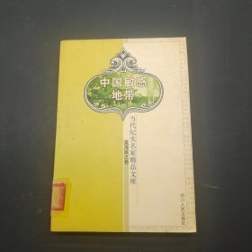 中国敏感地带（一）当代纪实名家精品文库 吴海民之卷