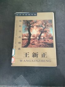 王新正摄影作品精选