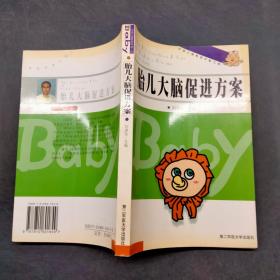 胎兒大腦促進(jìn)方案