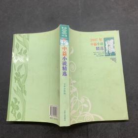 2007年中篇小说精选